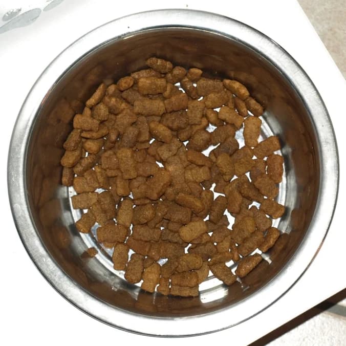 A steel bowl full of kibble, seen from above